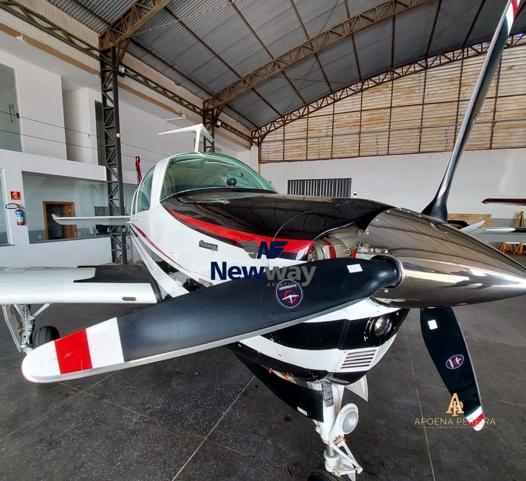 BEECH AIRCRAFT BONANZA A36 1979